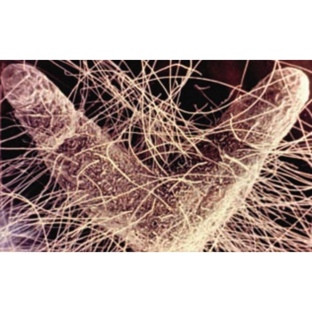 Plant Revolution Great White Premium Mycorrhizae 150g, 750g, Aqua Gardening