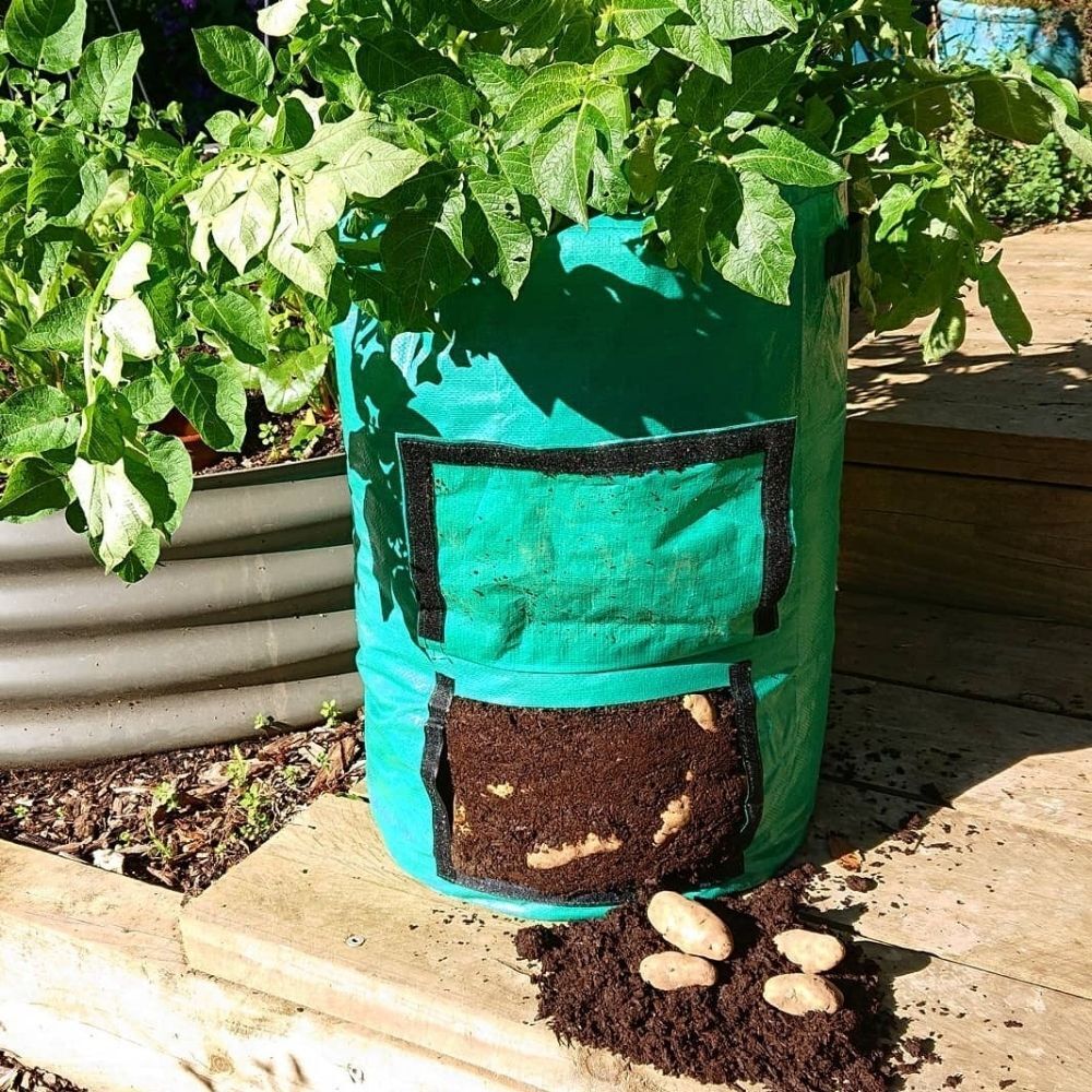 Potato Grow Bag with Resealable Windows 40 x 55cm / 50L , Aqua