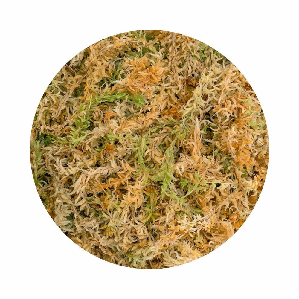 6 Professional Grower's Choice Net Pot & New Zealand Sphagnum Moss 