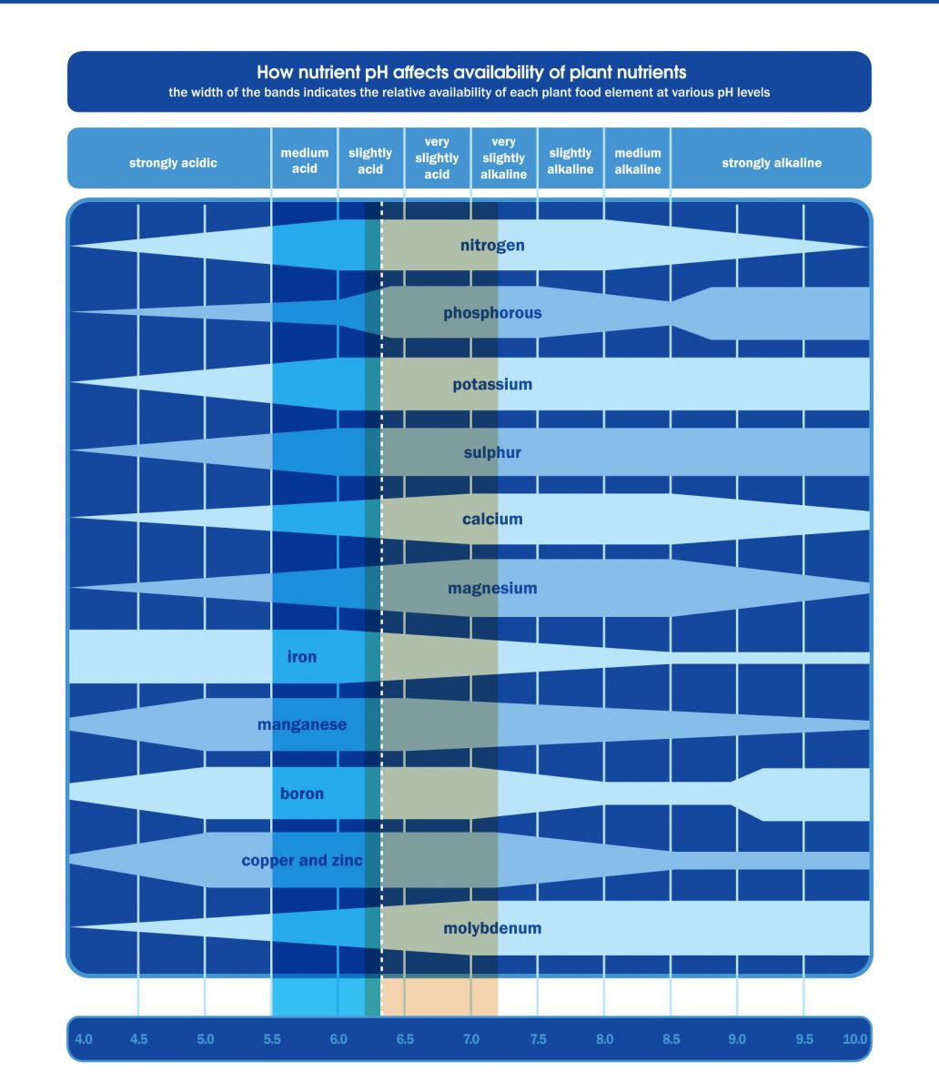 Hydroponic Ph Chart