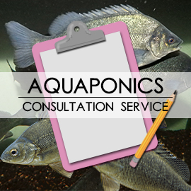 Aquaponics Custom Design Form