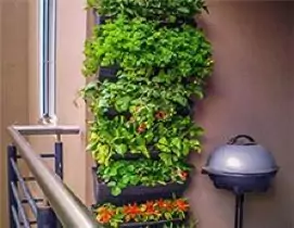 Complete Garden Kits Category Icon