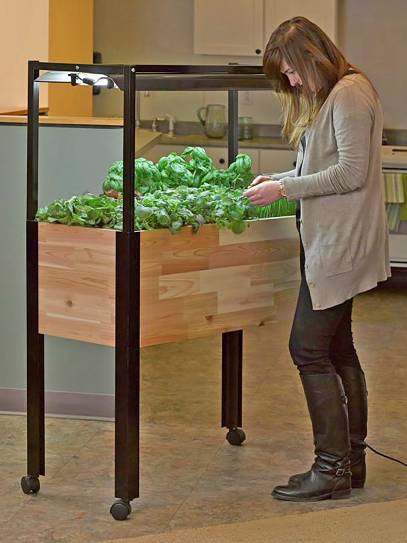 indoor-kitchen-with-grow-lights