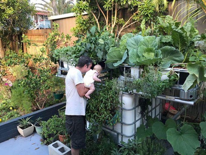 Love of Dirt Aquaponics