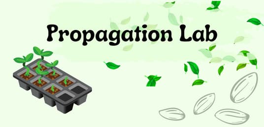 Propagation Lab