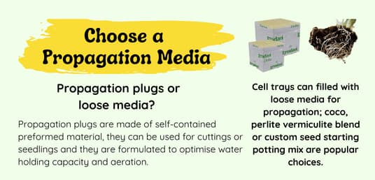 Choose a Propagation Media