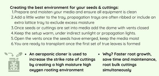 Creating the best environment for seeds & cuttings