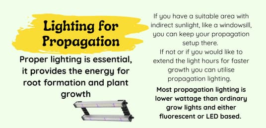 Lighting for propagation