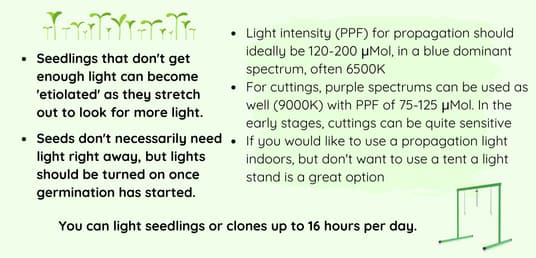 Light intensity for propagation