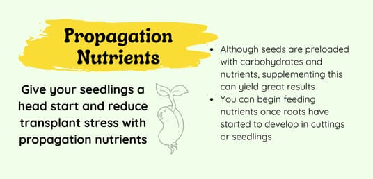 Propagation nutrients