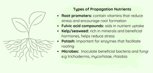 Types of propagation nutrients