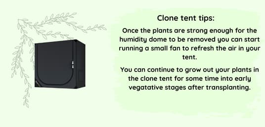 Clone tent tips