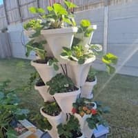 Vertical Gardening