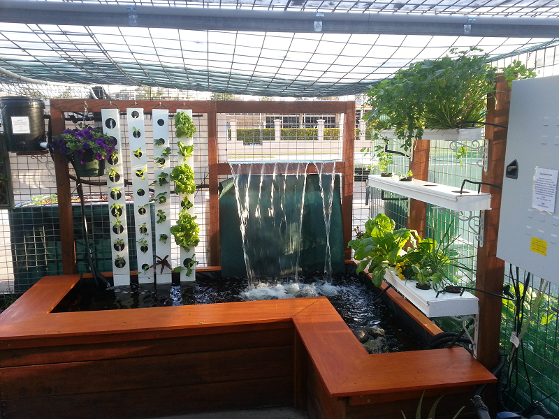 Aqua Gardening Pond and Waterfall Aquaponics system