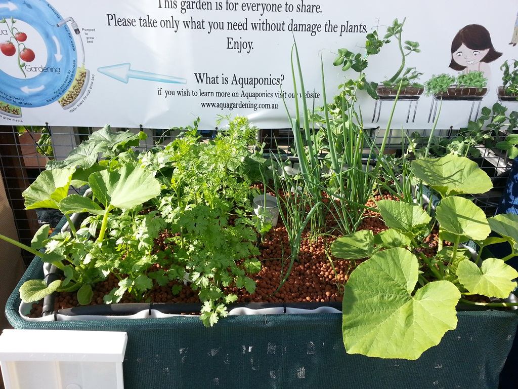 Aquaponic garden bed