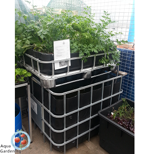 about aquaponics kits - tips & guidelines