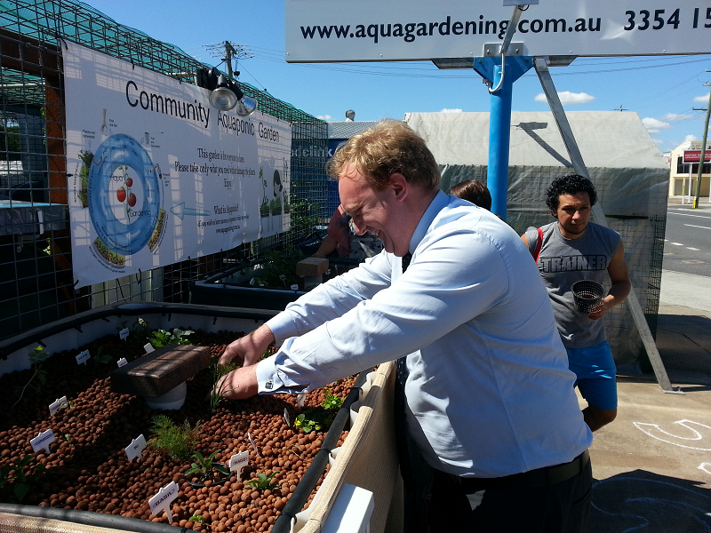 Seedling planting aquaponics brisbane