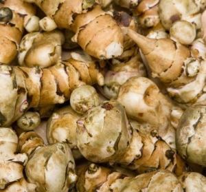 Jerusalem artichokes bulb