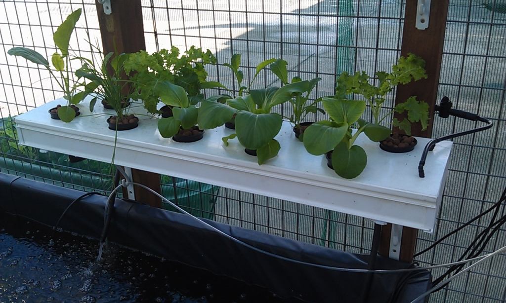 NFT channel hydroponic systems
