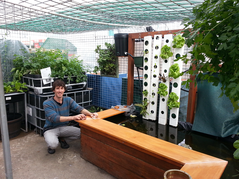 Building the Community Aquaponics Garden