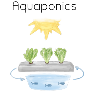 Aquaponics Aqua Gardening