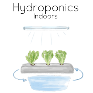 Simple-Hydroponics-Indoors-Aqua-Gardening