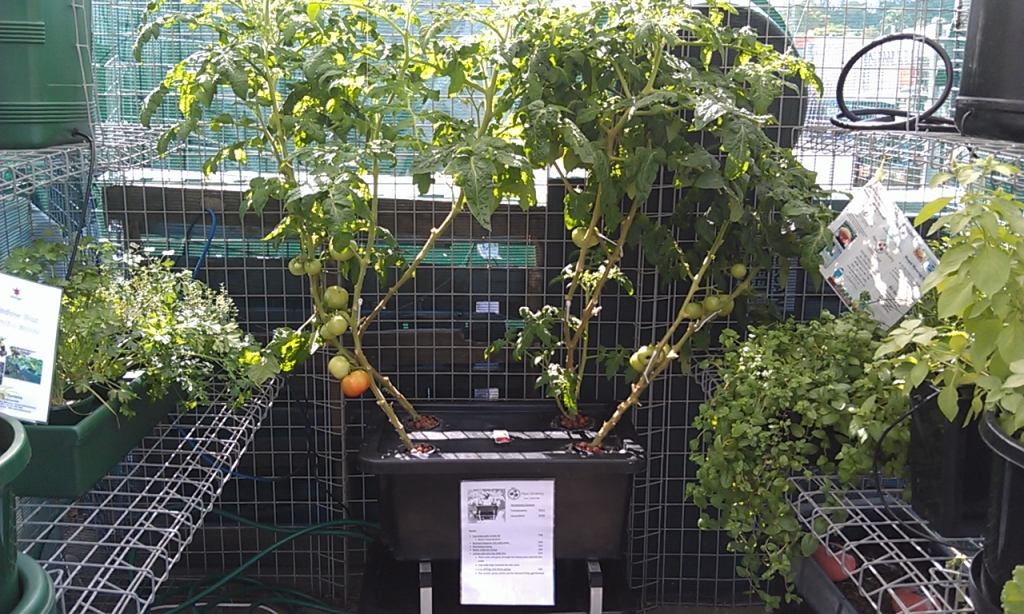 Aeroponics hydroponic system