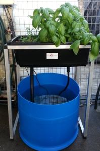 about aquaponics kits - tips & guidelines
