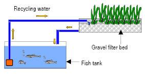 Aquaponics autopot diagram