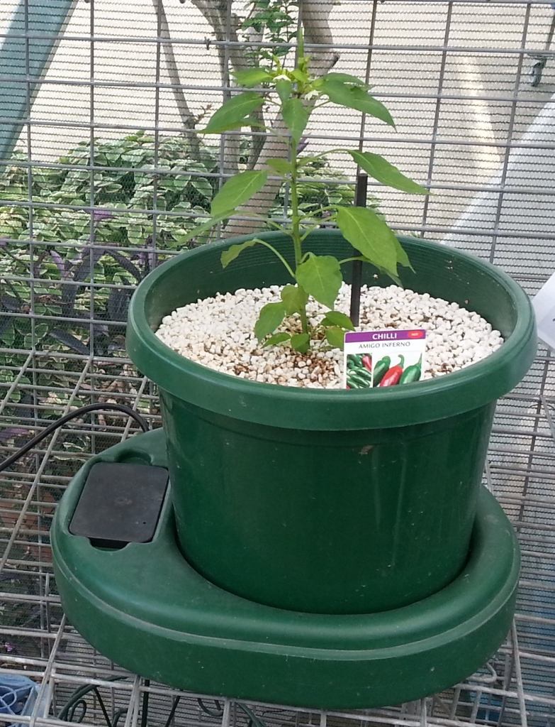 Autopot hydroponic system