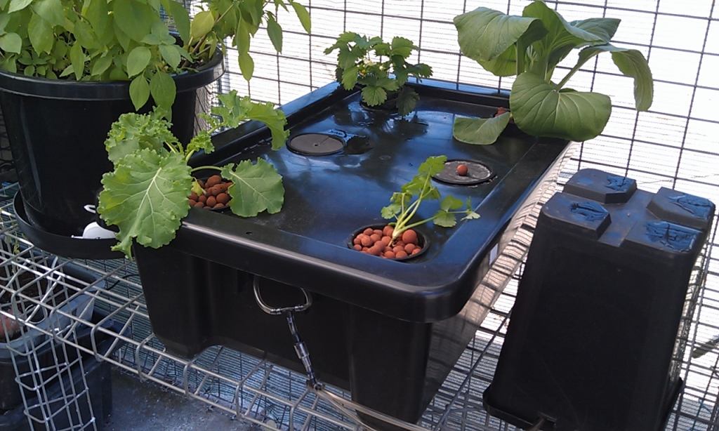 Bubbleponics hydroponic systems