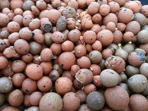 Expanded clay balls