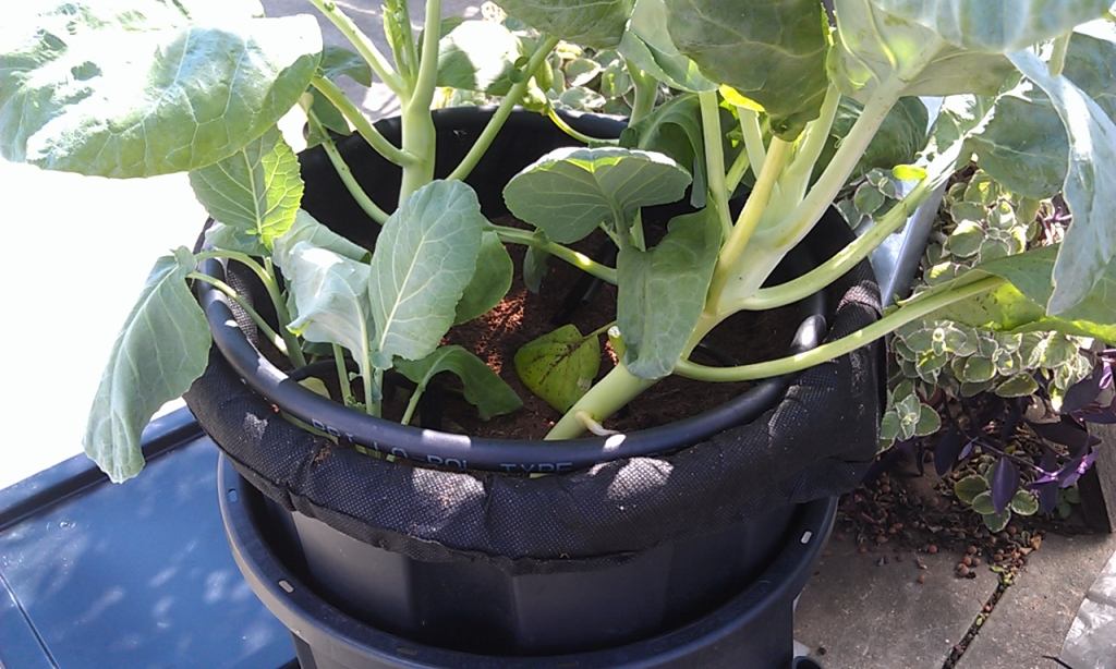 Hand watering hydroponic systems