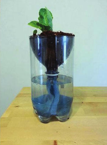 Recycled Hydroponic Garden