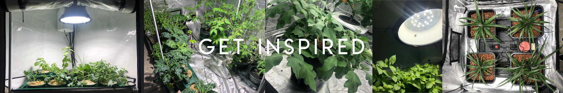Get Inspired - Hydroponic & Aquaponic Garden Photos