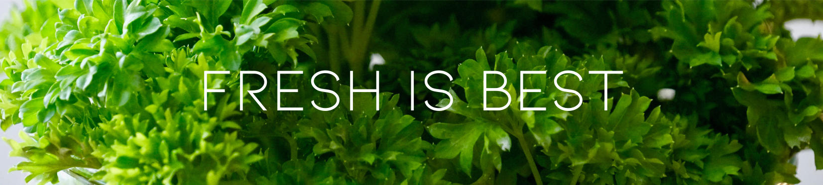 Fresh Is Best