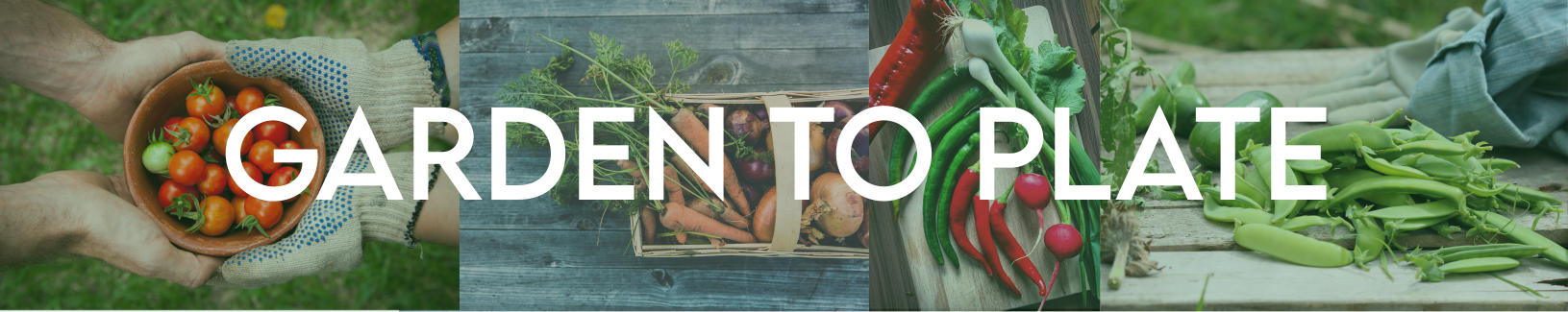 Get Inspired - Hydroponic & Aquaponic Garden Photos