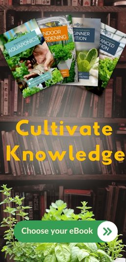 Cultivate Knowledge