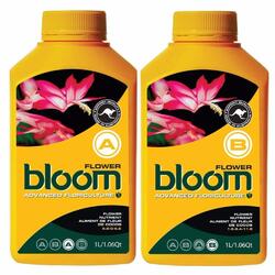 Bloom Flower A and B [2 x 2.5L]