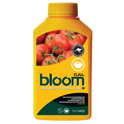 Bloom Cal [1L]