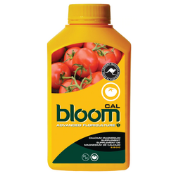 Bloom Cal [2.5L]