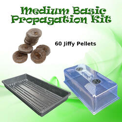 Medium Propagation Kit - Lid, Base and 60 Jiffy Pellets [27 x 53cm]