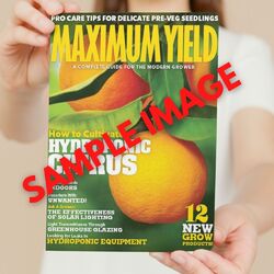 Maximum Yield Magazine