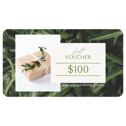 Gift Voucher for $100 