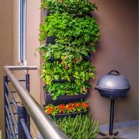 Automatic Wall Garden - Self-Watering Vertical Green Wall