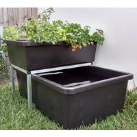 Medium Aquaponics Kit 