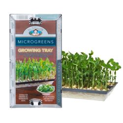 Microgreens Growing Tray 27 x 15cm
