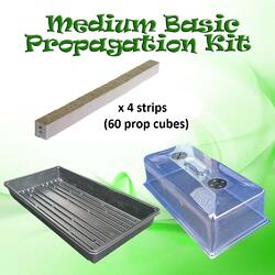 Medium Propagation Kit - Lid, Base and 60 Rockwool Cubes [27 x 53cm]