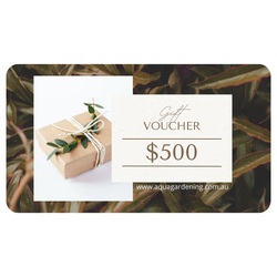 Gift Voucher for $500