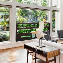 Greendow Vertical Window Garden Large [4 Troughs]